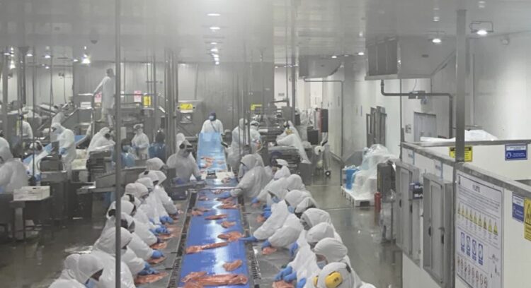 Marine Farm desarrolla proyecto de reconversión de refrigeración