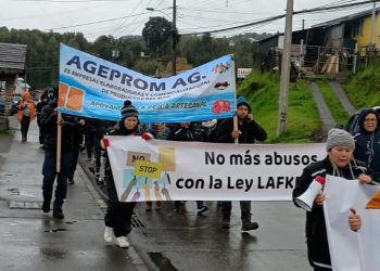 Marcha organizaciones del sector de la salmonicultura.