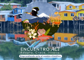 Concurso de Innovación «Adapta, Crece e Innova»