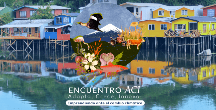 Concurso de Innovación "Adapta, Crece e Innova"