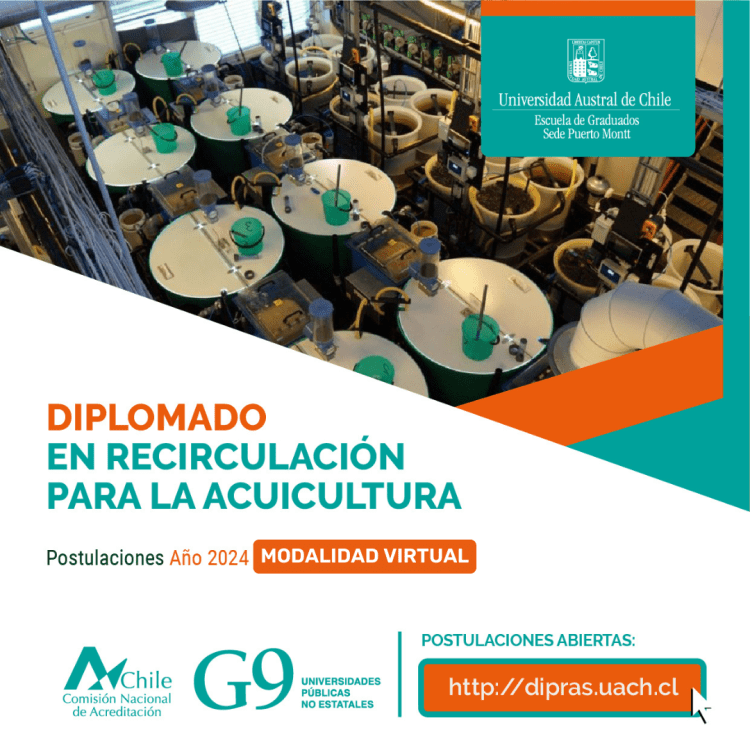 El diplomado se desarrollará en modalidad virtual. Créditos UACh.