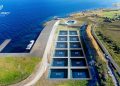 Andfjord Salmon avanza en estrategia de producción y expansión de Kvalnes