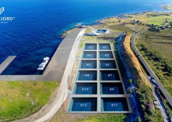 En la primera fase de construcción, Andfjord Salmon está completando cuatro nuevas piscinas. Créditos Andfjord Salmon.