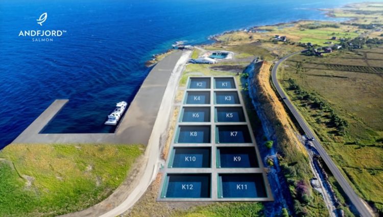 Andfjord Salmon avanza en estrategia de producción y expansión de Kvalnes