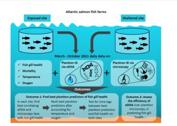 Amenaza planctónica en salmones y tecnologías para combatirla