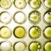 Es una nueva fuente vegetal marina de DHA omega-3 proveniente de algas. Créditos Aker BioMarine.