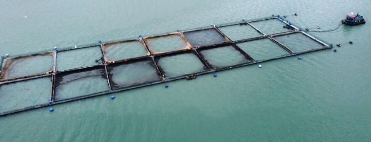 Corte Suprema acoge recursos de casación interpuesto por Sernapesca de Aysén