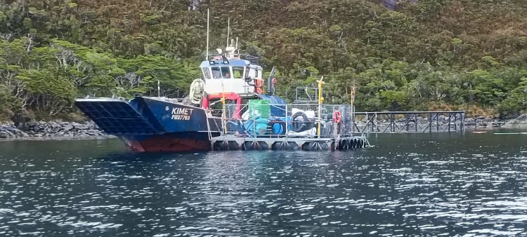 SMA inicia procedimiento sancionatorio contra Blumar por sobreproducción en Magallanes