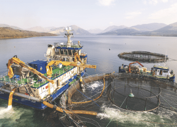 Ocean Kinetics presentará sistemas innovadores en Aquaculture UK