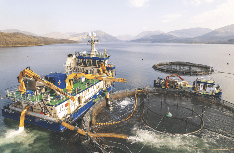 Ocean Kinetics presentará sistemas innovadores en Aquaculture UK