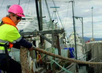 Mujeres al timón: Rompiendo olas de desigualdad en el mar