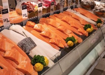 Salmón noruego experimenta crecimiento en volumen y valor