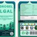 UCN crea hidrogel algal que podría ser biomejorador de suelos