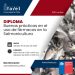 La convocatoria cierra el 15 de julio de 2024. Créditos FAVET.