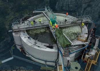 Innovadora solución de rosca vertical para el movimiento de peces
