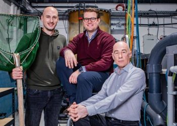 Aquapurna y BlueInvest: cultivan camarones protegiendo el planeta