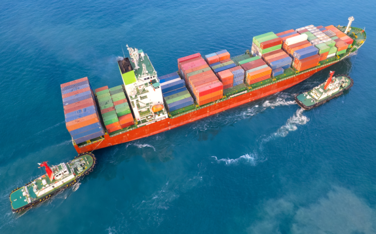 Salmón impulsa el crecimiento de las exportaciones de la región de Los Lagos