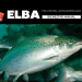 ELBA 2024.
