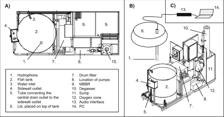 Resumen químico del MicroRAS utilizado en el experimento.Créditos estudio.