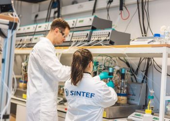 SINTEF contribuye a la optimización de producción para fertilizantes microbiológicos