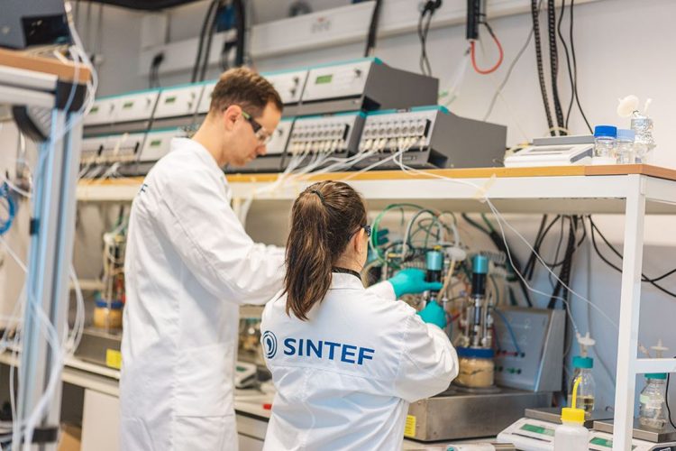 SINTEF contribuye a la optimización de producción para fertilizantes microbiológicos