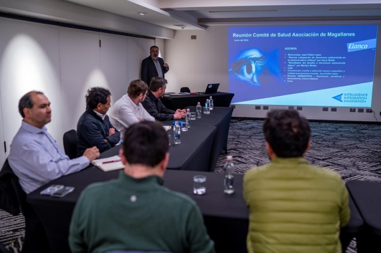 Comité de salud de peces de Magallanes analizó situación de aeromonas salmonicida