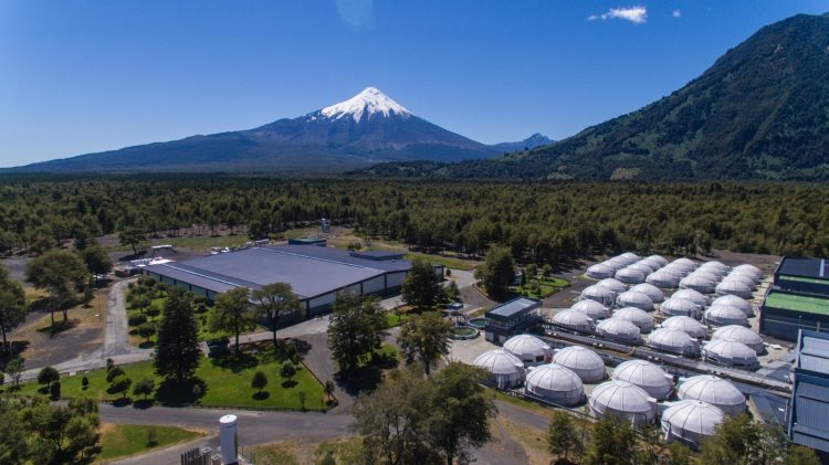 Innovación y sustentabilidad en agua dulce