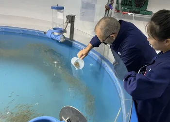 Nordic Aqua detecta geosmina en salmón en su centro de Ningbo