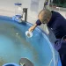 Nordic Aqua detecta geosmina en salmón en su centro de Ningbo