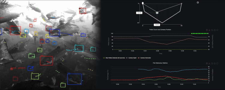 Tidal se convierte en una empresa independiente