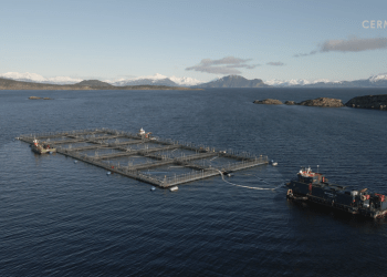 Cermaq Chile: Primera salmonera certificada en bienestar animal en toda su cadena de valor