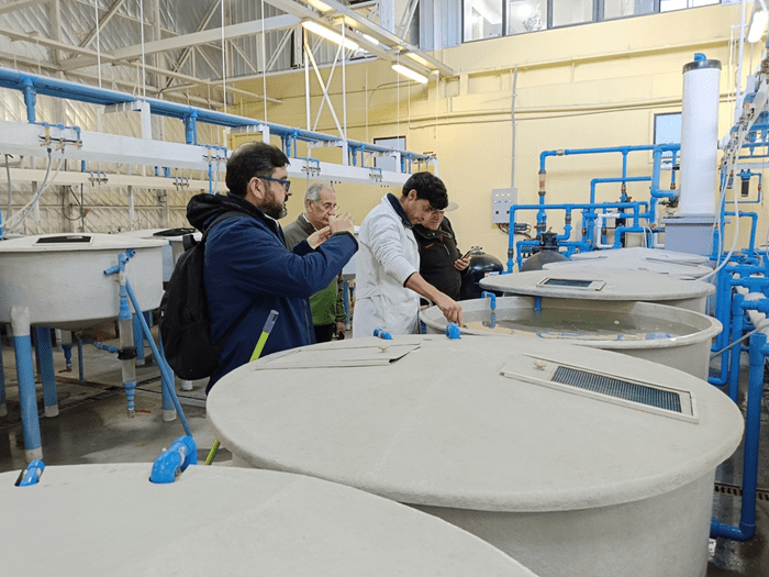 Chile albergará seminario de nutrición de peces