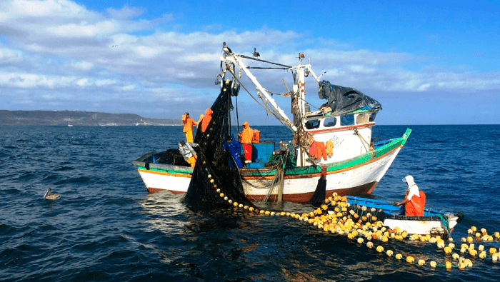 Destacan a Perú como el país con mejor desempeño pesquero en América del Sur