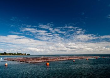 SalmonChile y CORFO realizarán encuentro sobre cambio climático y salmonicultura
