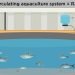 Sulfuro de hidrógeno en RAS: Descubren clave para mejorar bienestar de peces