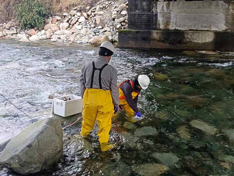 Exitosa renovación de la Norma ISO 17020 en el área de Medio Ambiente. Créditos ADL Diagnostic Chile.