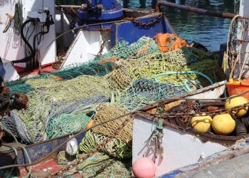Buscan optimizar la gestión de aparejos de pesca y acuicultura