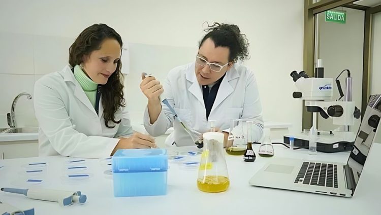 Académicos USS preparan un método para atacar al piojo del salmón con plantas