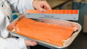Nuevo hallazgo: Despiojamiento mecánico cambia el color del salmón de cultivo