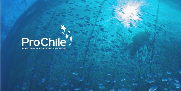 Convocatorias ProChile