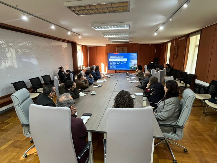 Participaron diversos gremios y actores del sector público y privado. Créditos Gore Los Lagos.