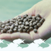 Analizarán futuro de ingredientes marinos e impacto en salud y salmonicultura