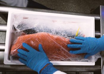 SalmonChile valora aprobación de informe sobre robo de salmones