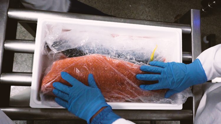 SalmonChile valora aprobación de informe sobre robo de salmones