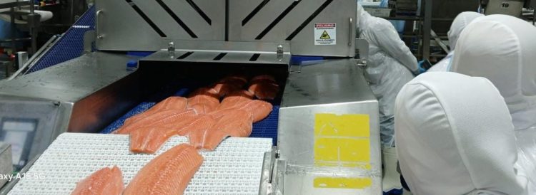 FAO realiza estudio sobre sistema chileno de inocuidad y calidad alimentaria