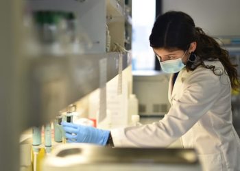 Gasto total en I+D en Chile sube de 0,36 a 0,39% del PIB
