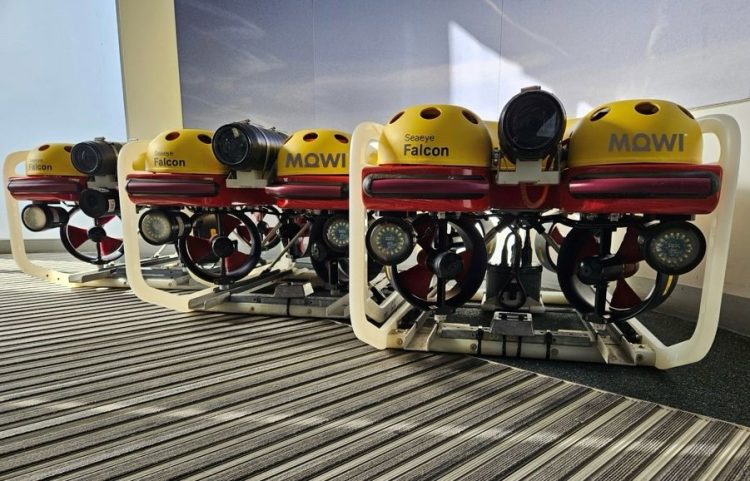 Foto: underwatercontracting / La próxima fase de su colaboración con Mowi incluirá importantes mejoras en los sistemas ROV.