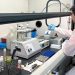 Foto: NOAA FISHERIES / Mejoran métodos para medir la grasa en peces y su salud.