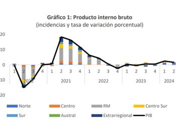 Evolución Producto Interno Bruto (PIB). Créditos: Banco Central.