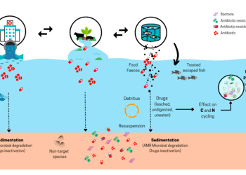 Proponen plan de acción con recomendaciones sobre uso de antibióticos en la acuicultura